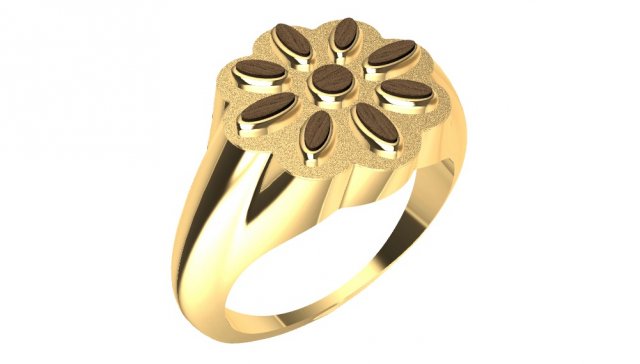 ring with wood 3D 프린트 모델 .c4d .max .obj .3ds .fbx .stl .blend 