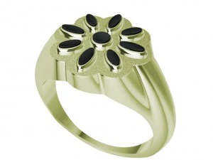 ring with wood 3D Print Model