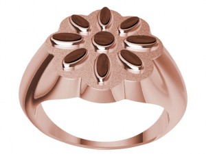 ring with wood 3D 프린트 모델