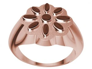 ring with wood 3D Print Model