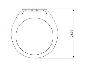 ring with wood 3D 프린트 모델