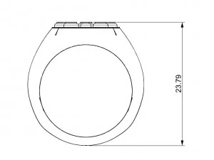 ring with wood 3D Print Model