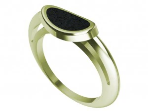 ring with rubber 3D Print Model