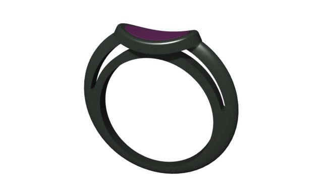 ring with rubber 3D-Druckmodell .c4d .max .obj .3ds .fbx .stl .blend 