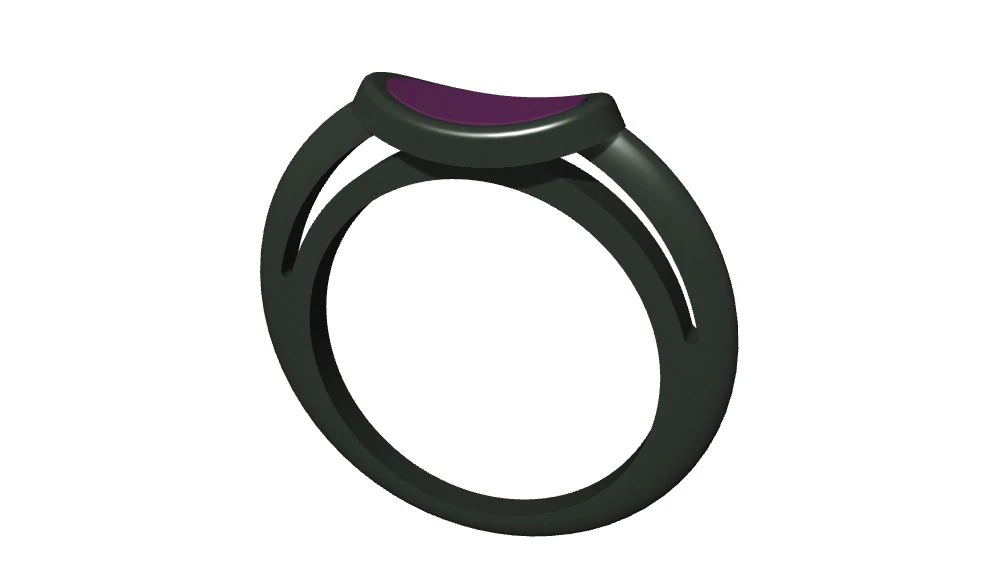 ring with rubber 3D Print Model .c4d .max .obj .3ds .fbx .stl .blend 