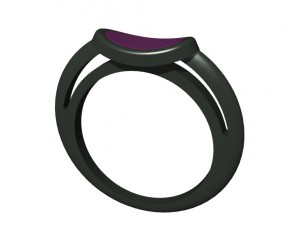 ring with rubber 3D Print Model