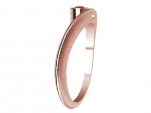 ring with gem 3D Print Model
