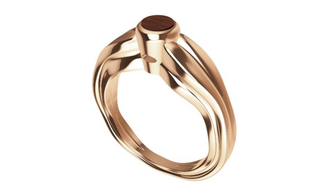 ring with wood 3D Print Model .c4d .max .obj .3ds .fbx .stl .blend 