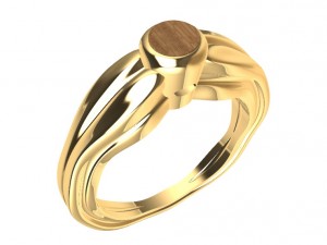 ring with wood 3D Print Model