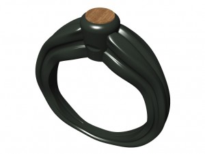 ring with wood 3D Print Model