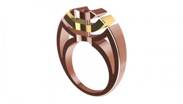bicolor ring 3Dプリントモデル .c4d .max .obj .3ds .fbx .stl .blend 