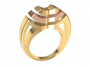 bicolor ring 3Dプリントモデル