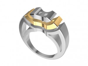 bicolor ring 3Dプリントモデル
