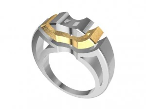 bicolor ring 3D Print Model
