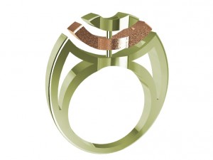 bicolor ring 3Dプリントモデル