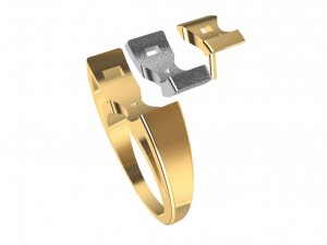 bicolor ring 3Dプリントモデル
