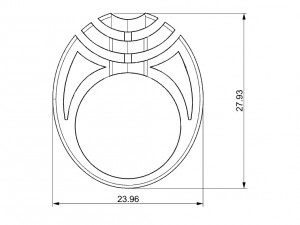 bicolor ring 3Dプリントモデル