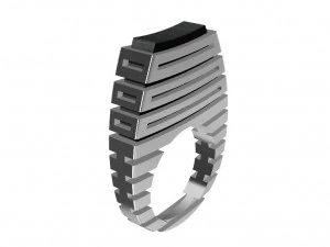 silver ring with wood 3D Print Model