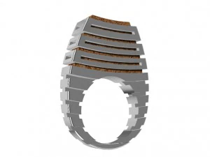 silver ring with wood 3D Print Model