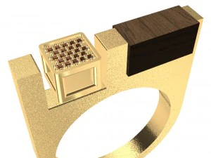 cincin berbeda dengan kayu dan permata Model Cetak 3D