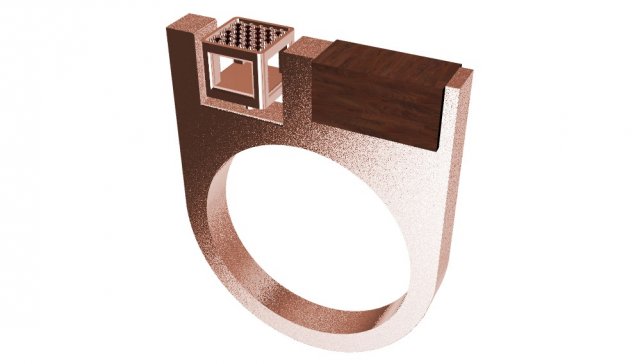 Download a different ring with wood and gems 3D Model