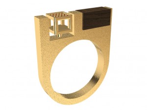 a different ring with wood and gems 3D Print Model