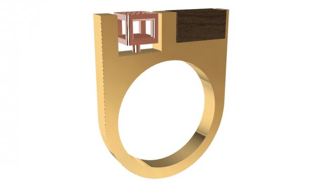 Download a different ring with wood and gems 3D Model