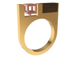 a different ring with wood and gems 3D Print Model