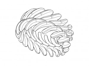 a different ring 3D Принт Модель