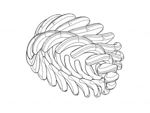 a different ring 3D Print Model