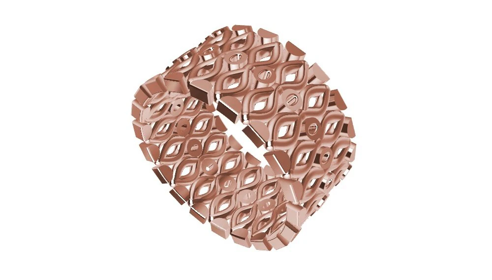 a different ring 3D Print Model .c4d .max .obj .3ds .fbx .stl .blend