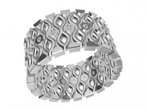 a different ring 3D Print Model