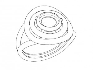 ring with ebany or other Model Cetak 3D