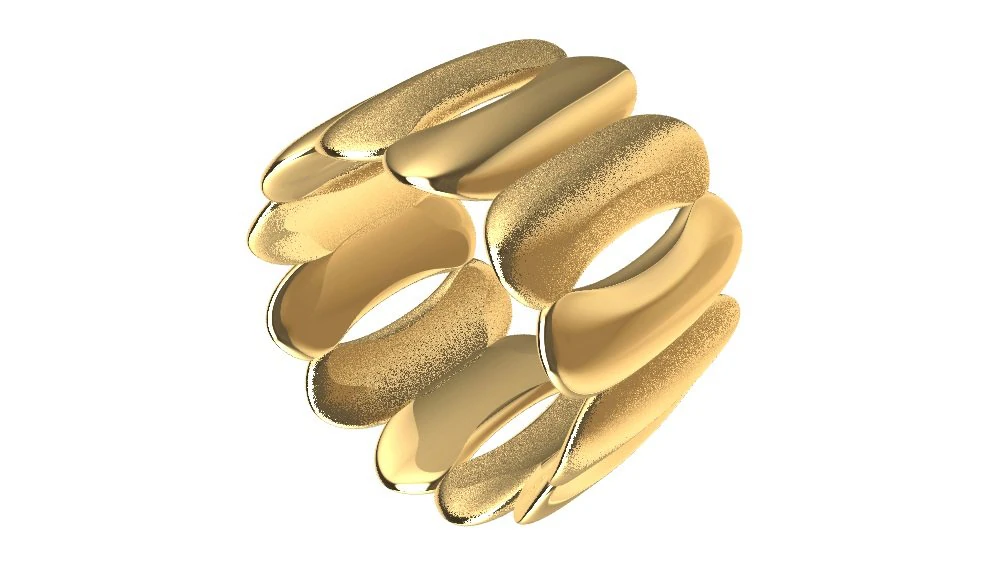 a different ring 3D Print Model .c4d .max .obj .3ds .fbx .stl .blend 