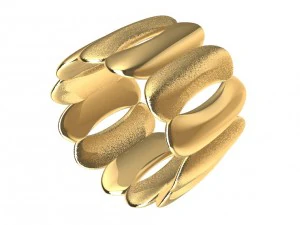 cincin yang berbeda Model Cetak 3D