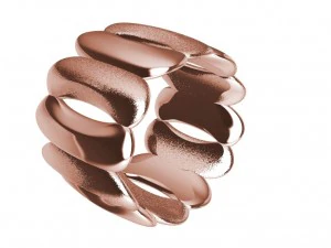 a different ring 3D Print Model