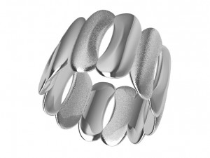 a different ring 3D Baskı Modeli