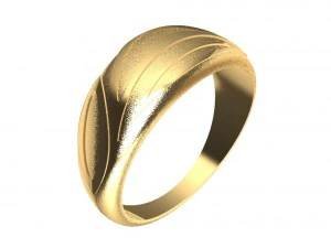 a different ring 3D Print Model