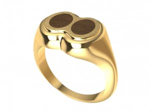 pierścionek z drewnem Model do druku 3D