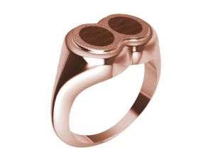 ring with wood 3D Print Model