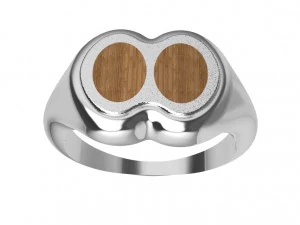 ring with wood 3D Print Model
