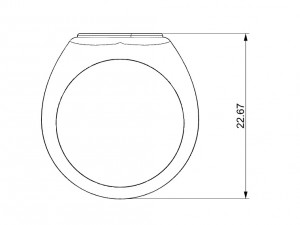 ring with wood 3D 打印模型