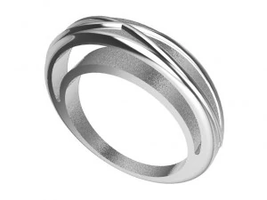 a different ring 3D Print Model