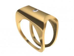 a different ring 3D Print Model