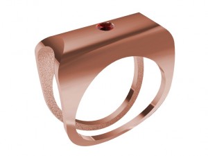 a different ring 3Dプリントモデル