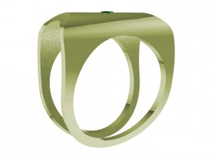 a different ring 3Dプリントモデル