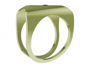 a different ring 3D Print Model