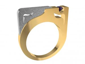 bicolor ring with gem 3D Print Model