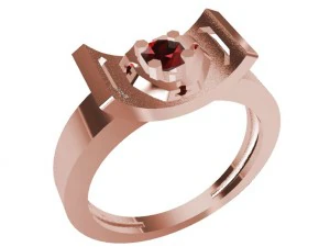 a special ring 3D Print Model