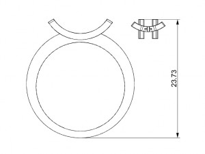 a special ring Modelo de impresión 3D